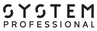 System Professional